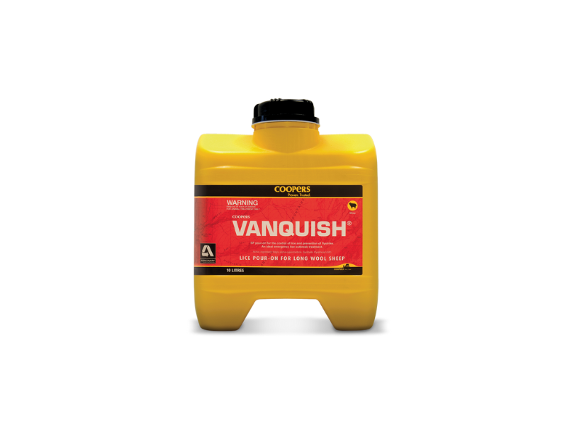 VANQUISH® feature image post grid