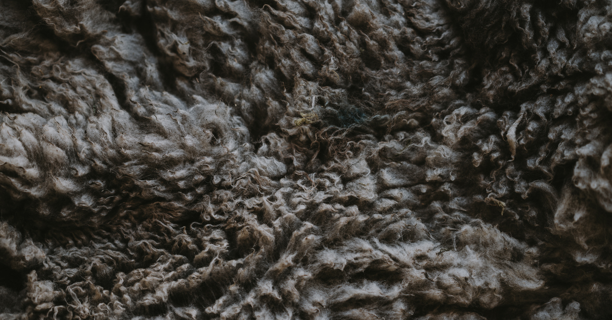 Wool texture homepage