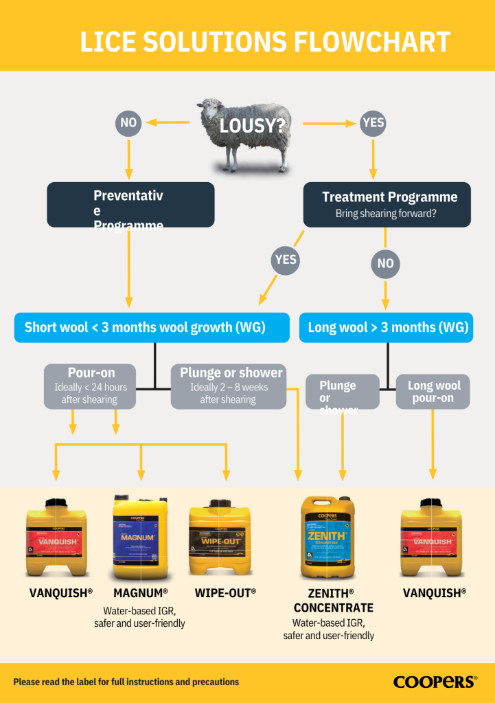 lice solutions flowchart